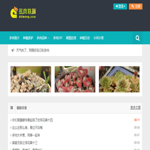 多肉植物
