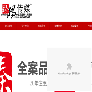 江苏臻扬广告传媒有限公司