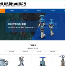 抽汽止回阀