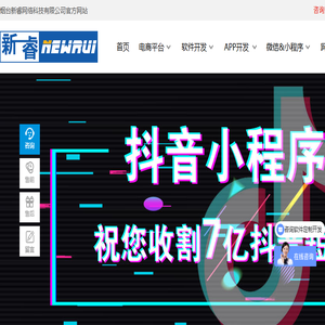 烟台软件开发公司