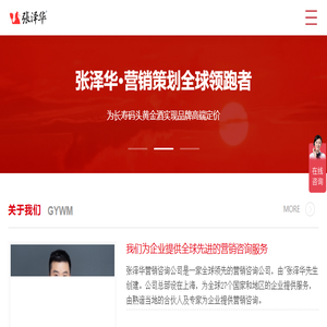 全球领先的营销咨询公司