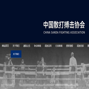 中国散打搏击协会