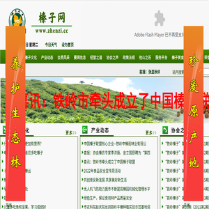 榛子网