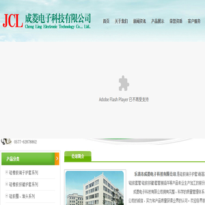 乐清市成菱电子科技有限公司