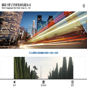 王胖子公司