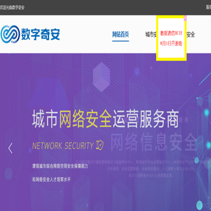 数字奇安集团