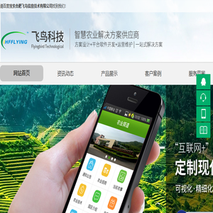 合肥飞鸟信息技术有限公司