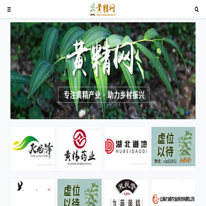 黄精价格行情