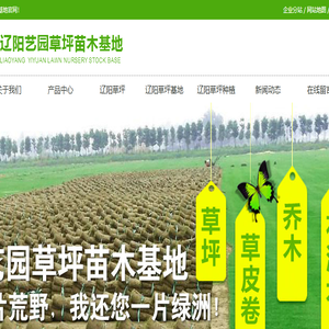 辽阳草坪