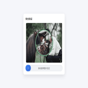 曙光网络