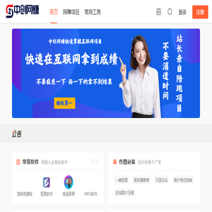 中创网赚