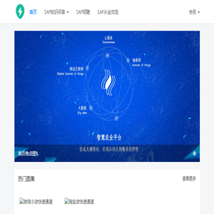 SAP顾问学院