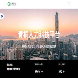青桐盛夏科技有限公司