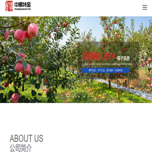 中鼎特金秦皇岛科技股份有限公司