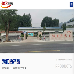 山东淄博德西瑞泵业有限公司