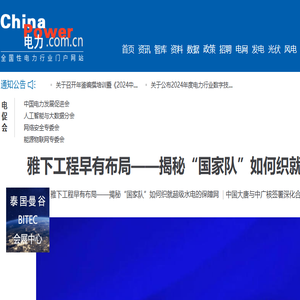 电力网