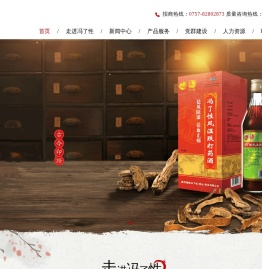 国药集团冯了性（佛山）药业有限公司