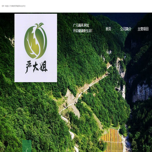 广元市朝天区平溪蔬菜专业合作社