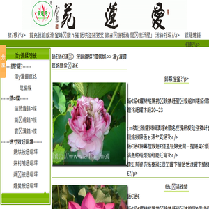 100元不限次数上门电话