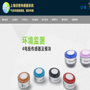 上海钢软信息技术工程股份有限公司