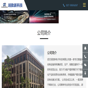 武汉润致新电子科技有限公司