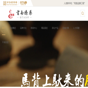 云南腾药制药股份有限公司