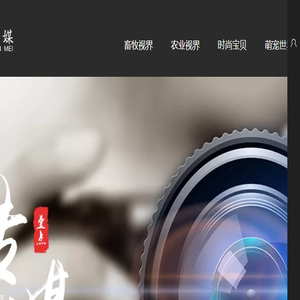 壹点传媒