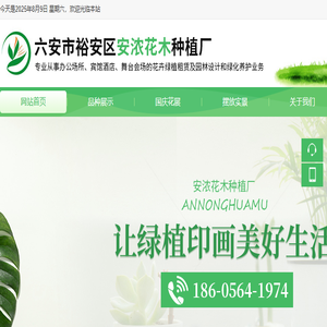 六安花卉租摆