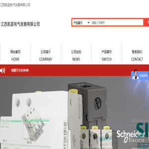 江西凯蓝电气发展有限公司