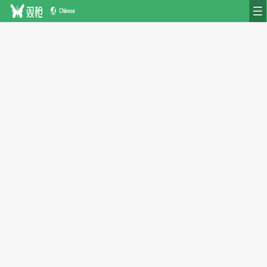 双枪科技股份有限公司