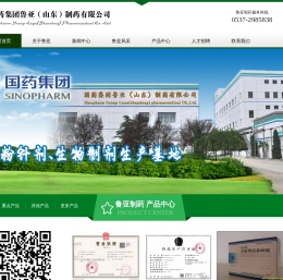 国药集团鲁亚（山东）制药有限公司