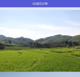毕业论文怎么写