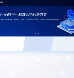 IP防伪授权管控系统