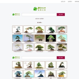 盆景梦pjcn.cn