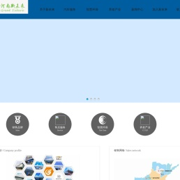 河南新未来投资有限公司