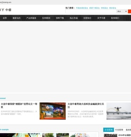 大连中睿科技发展有限公司