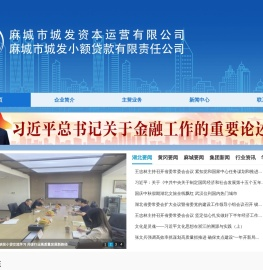 麻城市城发资本运营有限公司