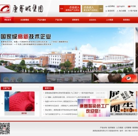 康赛妮集团有限公司
