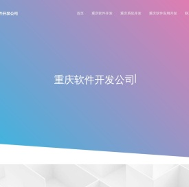 重庆软件外包公司