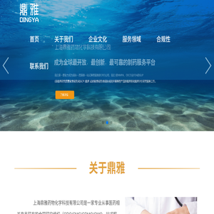 上海鼎雅药物化学科技有限公司