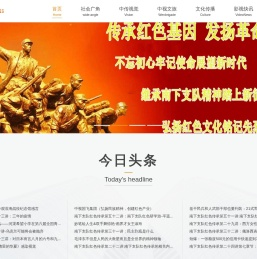 中传网
