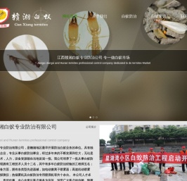 赣湘白蚁防治