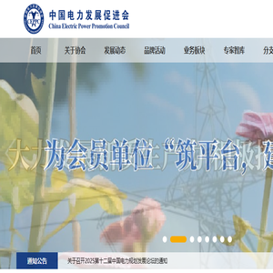 中国电力发展促进会