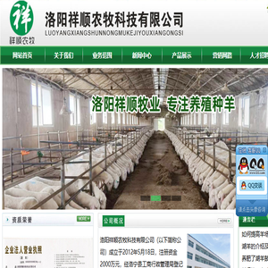 全水发泡