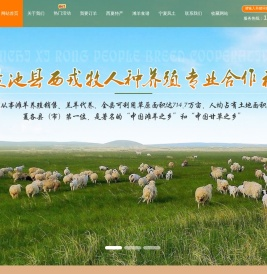 盐池滩羊,宁夏土羊,草原羊,西夏羊,滩羊养殖