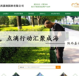 西安绿化养护