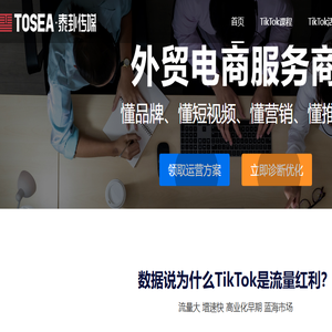 TikTok+AI外贸电商总裁班