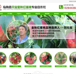 全国正宗金秋红蜜桃苗