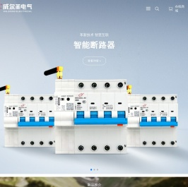 厦门威尔圣电气股份有限公司
