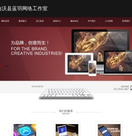 曲沃县蓝羽网络工作室